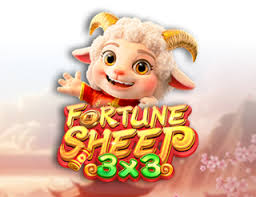 Fortune Sheep